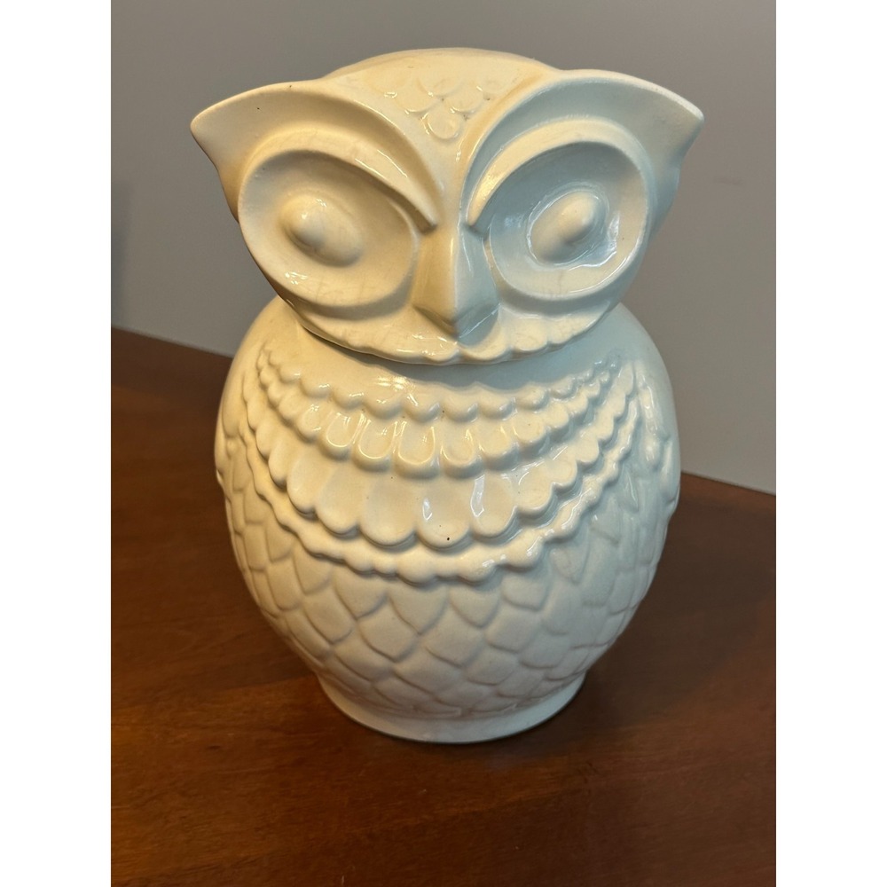 Vintage Ivory Owl Cookie Jar Detail 3D Wings Feathers Wise Bird 10 1/2"